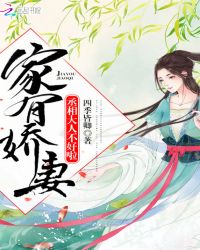 家有娇妻：丞相大人不好啦！封面