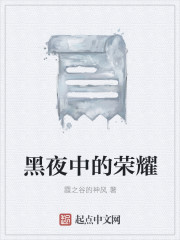 黑夜中的荣耀封面