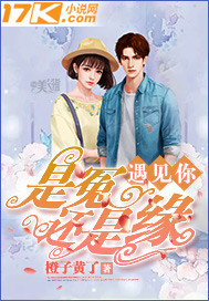 遇见你是冤还是缘封面