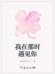 我在那时遇见你封面
