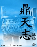 鼎天志封面