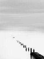 今生的那些小事封面