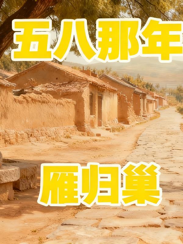 五八那年雁归巢封面