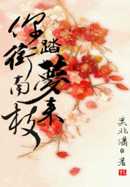 你衔南枝踏梦来封面