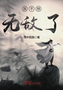 我不想无敌了封面