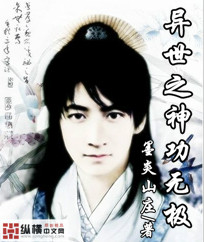 异世之神功无极封面