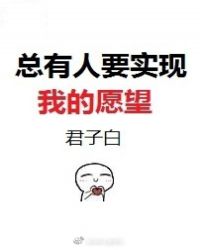 总有人要实现我的愿望封面