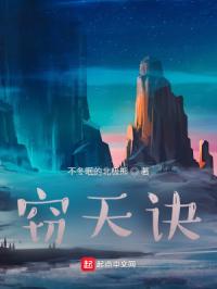 窃天诀封面