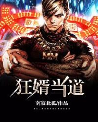 狂婿当道封面