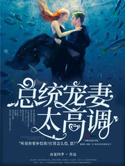总统宠妻太高调封面