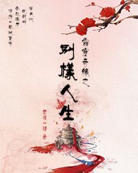 霹雳奇缘之别样人生封面