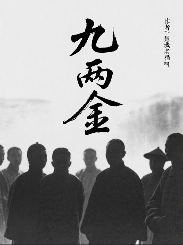 九两金封面
