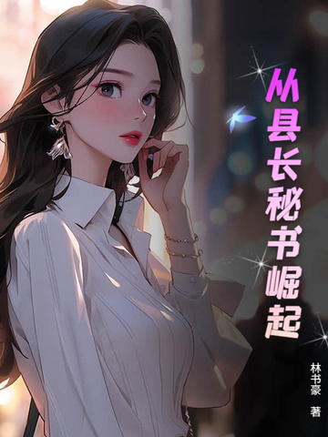 从县长秘书崛起封面