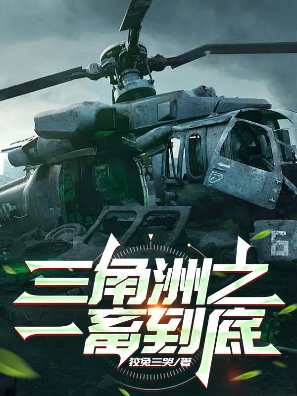 三角洲之一畜到底封面