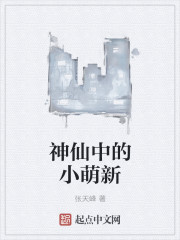 神仙中的小萌新封面