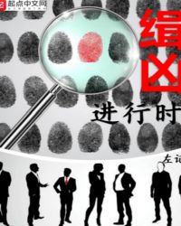 缉凶进行时封面