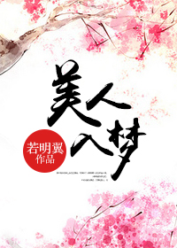 美人入梦封面