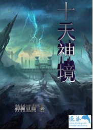 十天神境封面