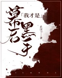 我才是幕后黑手封面