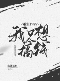 重生1988：我只想搞钱封面