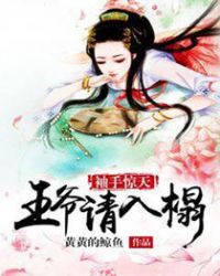 袖手惊天：王爷请入榻封面