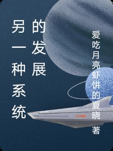 另一种系统的发展封面