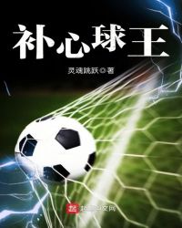 补心球王封面