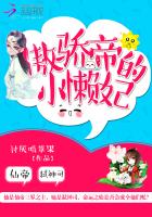 傲娇帝的小懒妃封面