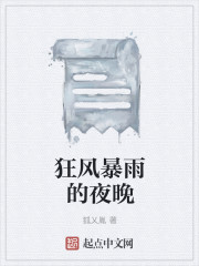 狂风暴雨的夜晚封面