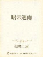 昭云遇雨封面