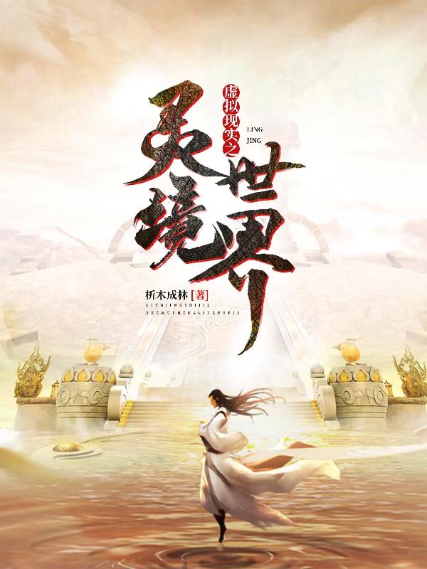 虚拟现实之灵境世界封面