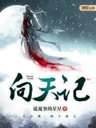 向天记封面