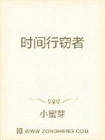时间行窃者封面