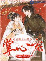 丞相大人的掌心宠封面