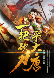 一把砍刀平大唐封面