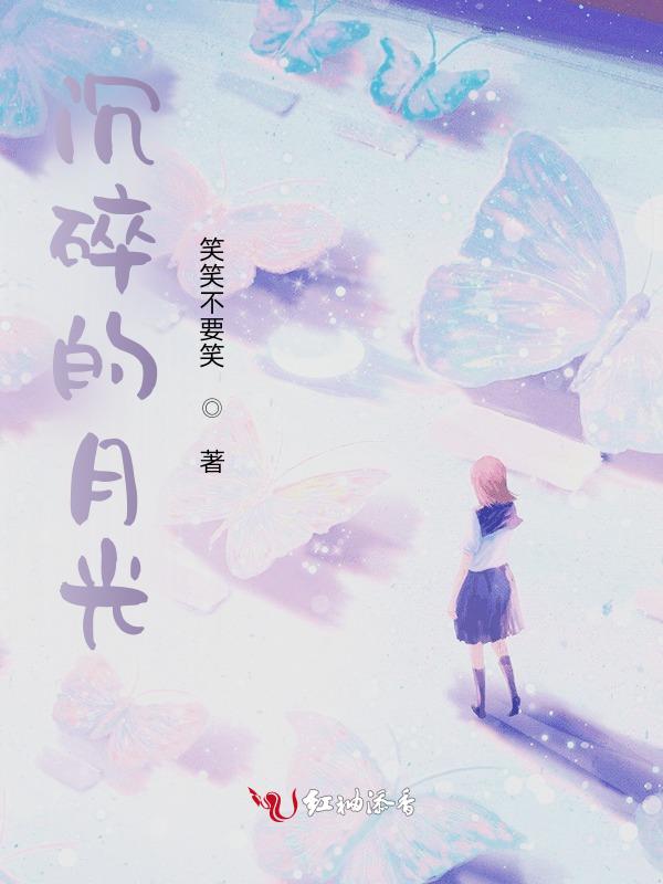 沉碎的月光封面