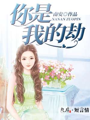 你是我的劫封面