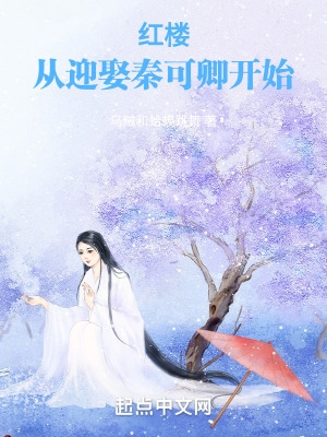 红楼从迎娶秦可卿开始封面