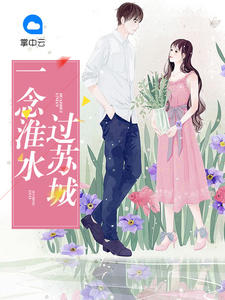 一念淮水过苏城封面