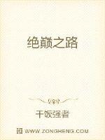 绝巅之路封面