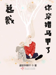 总裁你穿错马甲了封面