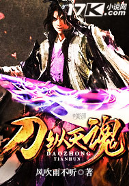 刀纵天魂封面