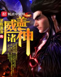 威盖诸神封面