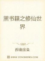 黑书籍之修仙世界封面