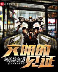 文明的见证封面