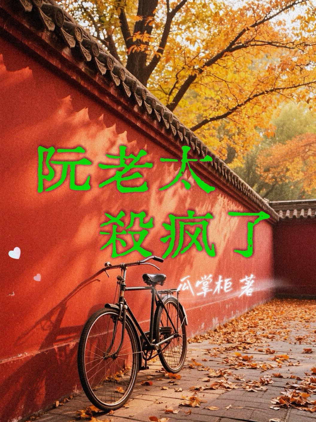 阮老太杀疯了封面