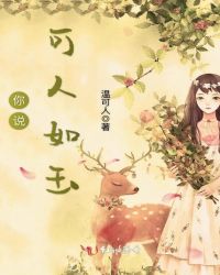 你说可人如玉封面
