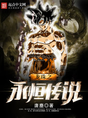 龙珠之永恒传说封面
