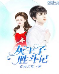 灰王子胜斗记封面