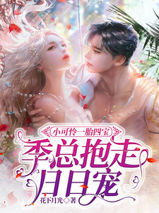 小可怜一胎四宝，季总抱走日日宠封面